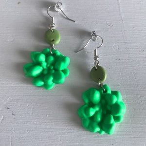NWT succulent earrings